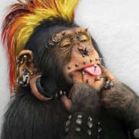 AGN's avatar