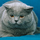 JennWithOneN's avatar