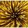 Noodley_Noodles's avatar