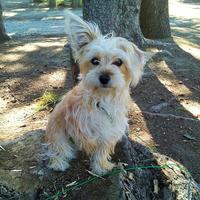 Plucky's avatar