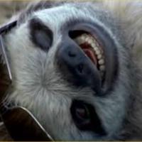 Scope's avatar