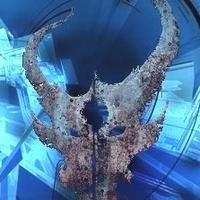 Storms's avatar