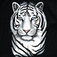 Thesilvertiger's avatar