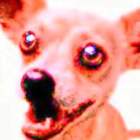 TinyChi's avatar