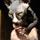 WillWorkForChocolate's avatar