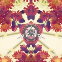 _Whitetigress's avatar
