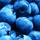 blueberry_kid's avatar