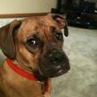 chyna's avatar