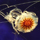 puchanix's avatar