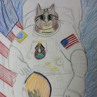 deni's avatar
