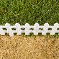 greenergrass's avatar