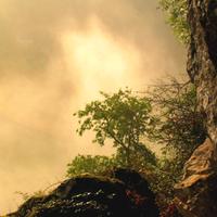 lifeflame's avatar