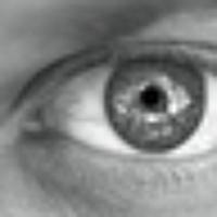 mark's avatar