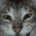 martianspringtime's avatar