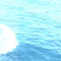 mdy's avatar
