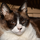 mrentropy's avatar