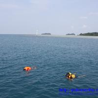 pulauseribuasia's avatar