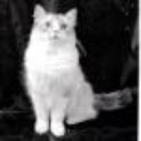 shake1973's avatar