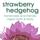 strawberryhedgehog's avatar