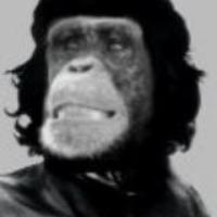 the100thmonkey's avatar