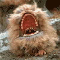truffles's avatar