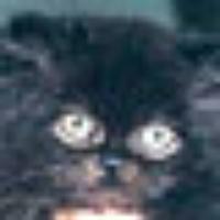 zicron's avatar