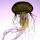 Jellyfishsandwitch's avatar