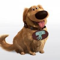 Dog's avatar
