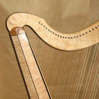Harp's avatar