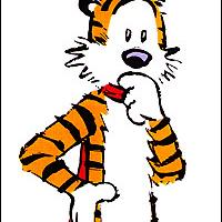 Hobbes's avatar