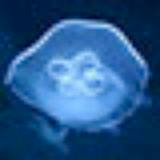 alh1997's avatar