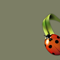 laineybug's avatar